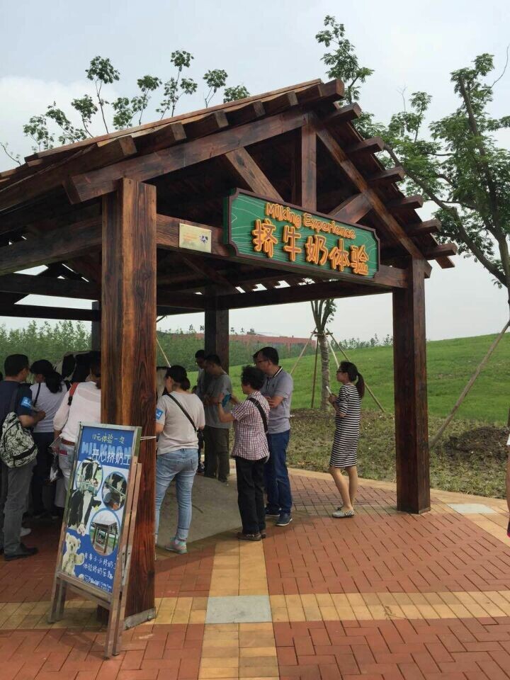 金彩汇 - 首页