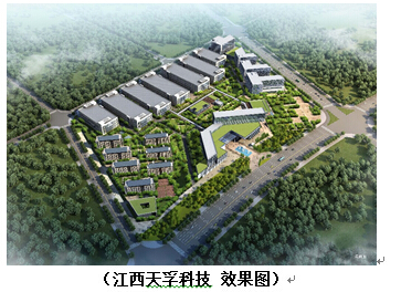 金彩汇 - 首页