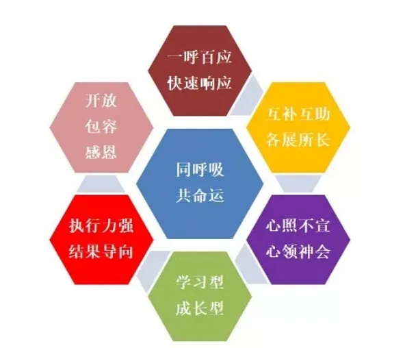 金彩汇 - 首页